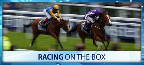 Live Horse Racing on TV – Sport On The Box.